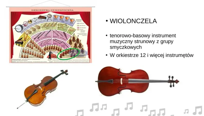 Wiolonczele w orkiestrze symfonicznej to instrumenty smyczkowe. W orkiestrze jest ich 12 i więcej.