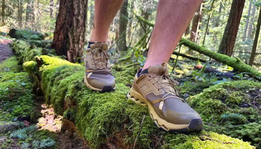 These tan hiking shoes are perfect for exploring moss-covered logs in the forest. You can wear hiking shoes everyday for comfort and support on any terrain.
