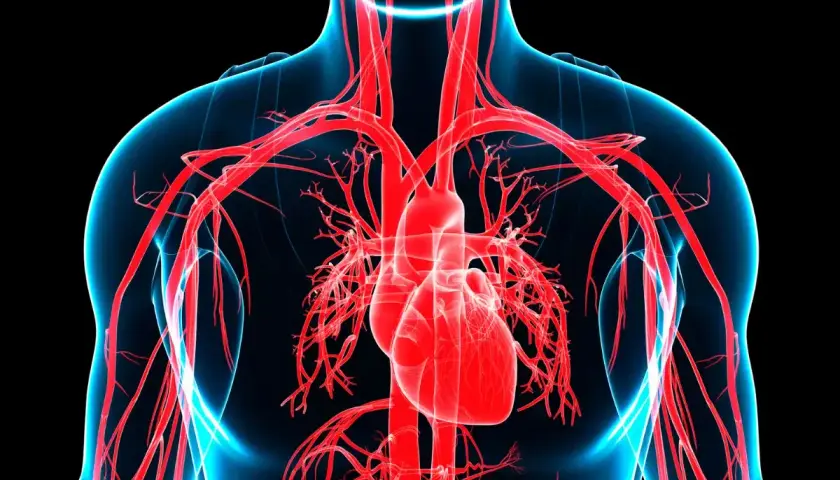 Cuore e arterie in rosso su sfondo nero. L'immagine evoca la sensazione di ansia e la potenziale pericardite.