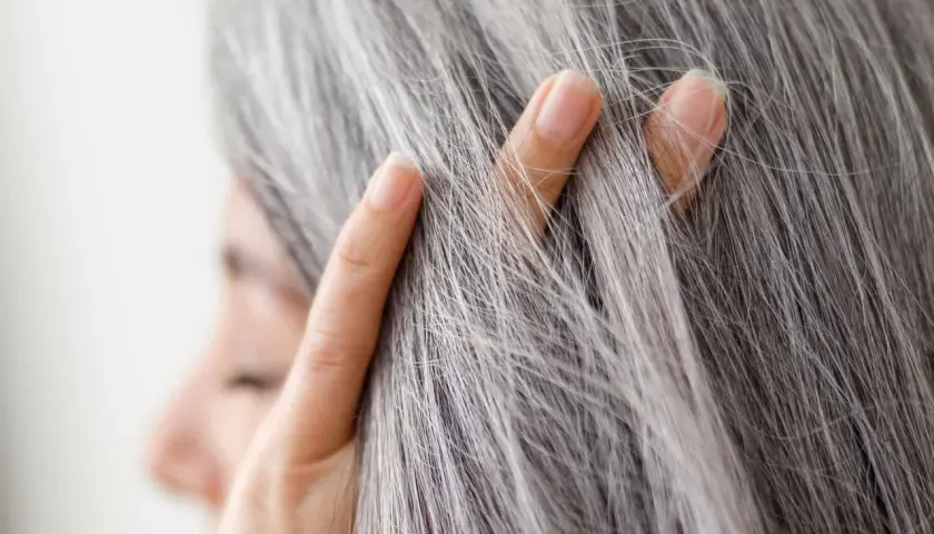 Dedos acarician el pelo gris, señal de que la melanina ha comenzado su viaje hacia la sabiduría.