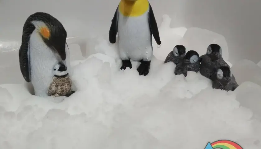 Figuras de pingüinos en la nieve, una familia reunida. Parece que llega el invierno y se preparan para el frío.