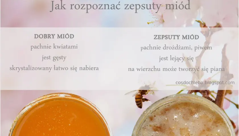 Jak rozpoznać zepsuty miód: dobry pachnie kwiatami, jest gęsty; zepsuty drożdżami, lejący się, z pianą.