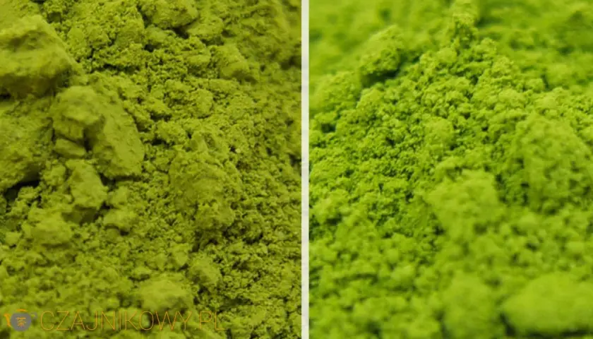 Jaka matcha najlepsza? Sprawdź, co wyróżnia najlepsze rodzaje