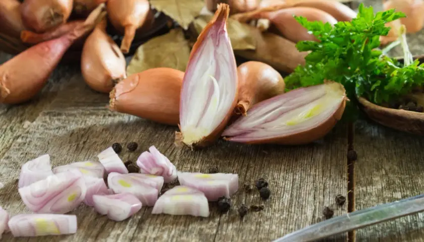 Jak wygląda szalotka? Poznaj cechy tej wyjątkowej cebuli