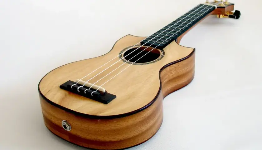 Jakie drewno na ukulele wybrać: porównanie 7 najlepszych gatunków