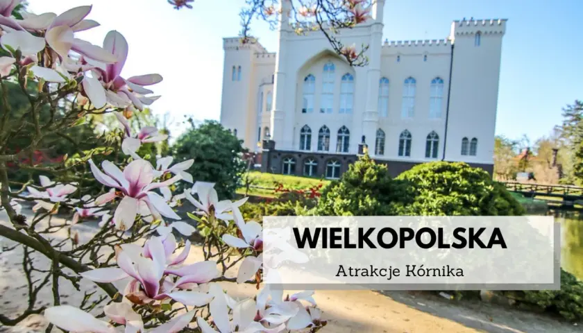Najlepsze atrakcje w Kórniku, które musisz zobaczyć z rodziną