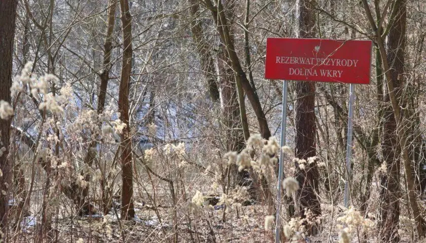 Rezerwat Przyrody Dolina Wkry – co warto wiedzieć przed wizytą i jak uniknąć błędów