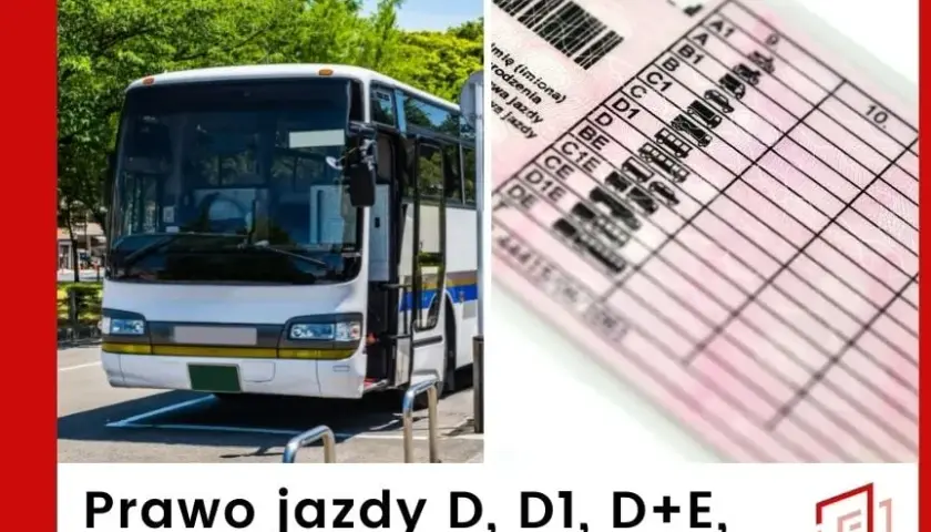 Jakie prawo jazdy na autobus? Kluczowe różnice i wymagania, które musisz znać