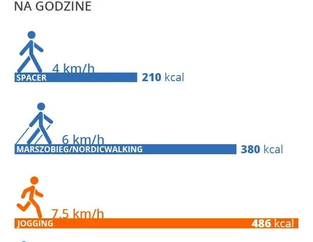 Spacer 3 km ile kalorii? Poznaj prawdę o spalaniu tłuszczu