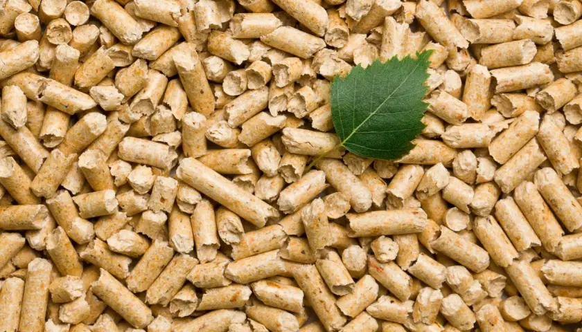 Czy pellet jest ekologiczny? Poznaj prawdę o jego wpływie na środowisko
