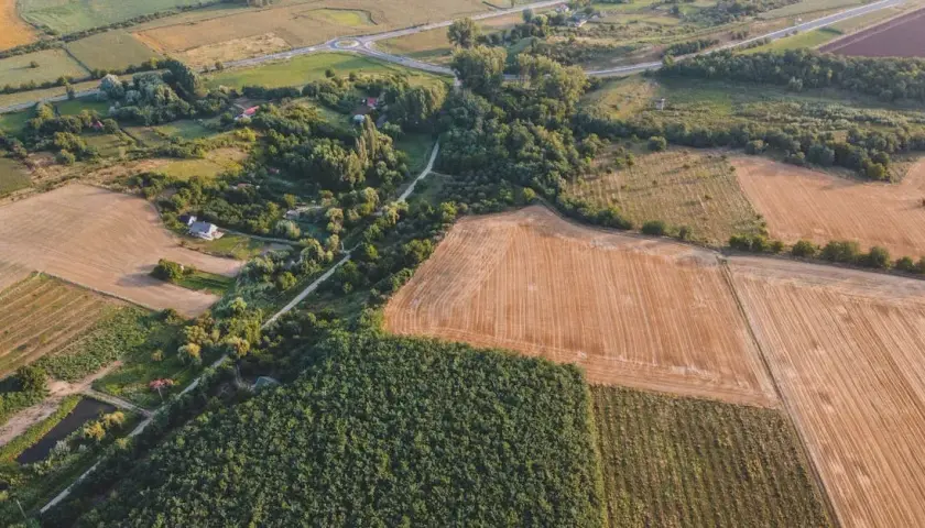 Ceny działek rolnych: Jakie są obecne stawki i co wpływa na ceny?