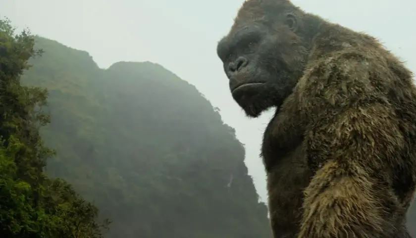 King Kong wyspa czaszki: Wszystkie szczegóły o filmie, które musisz znać