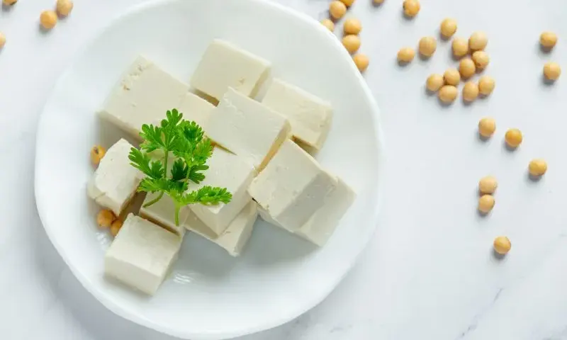 Tofu w diecie psa - czy można karmić i jakie ilości są bezpieczne?