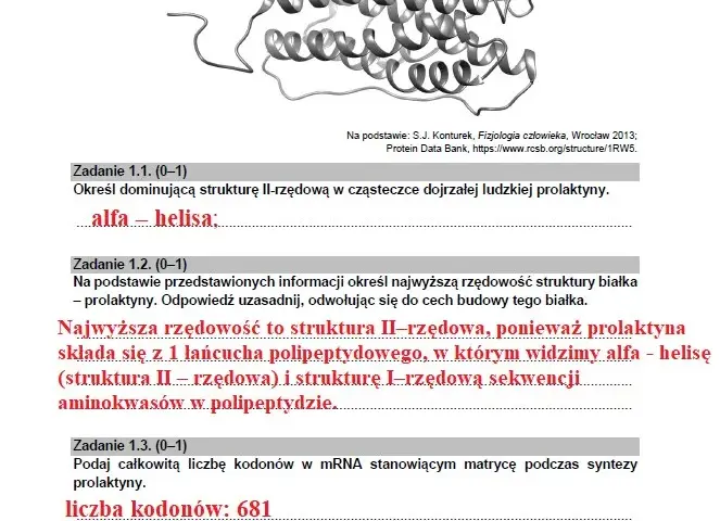 Co po rozszerzonej biologii? Kierunki studiów i zawody, które warto rozważyć