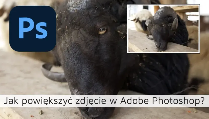 Jak powiększyć obraz w Photoshopie bez utraty jakości i szczegółów