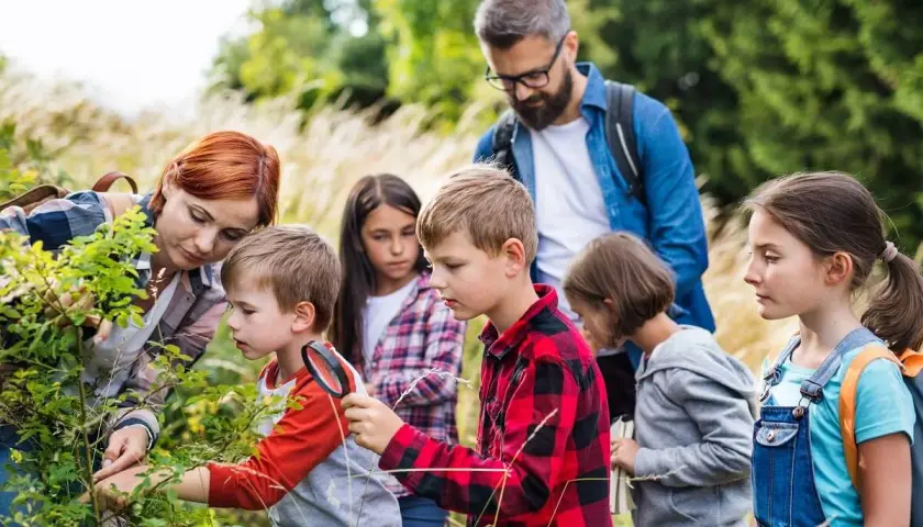 Czy kierownik kolonii może być jednocześnie wychowawcą? Sprawdź zasady