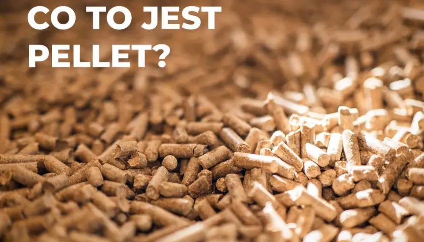Co to jest pellet? Poznaj jego rodzaje, zalety i wpływ na środowisko
