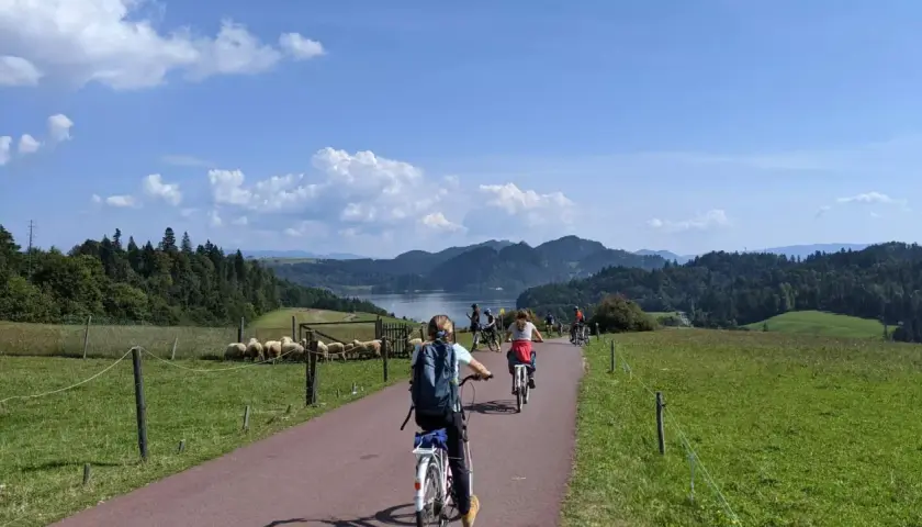 Trasa rowerowa Velo Czorsztyn – odkryj piękno jeziora i okolicy