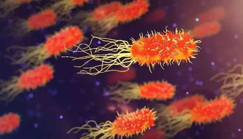 Objawy C difficile: niebezpieczne powikłania, które musisz znać