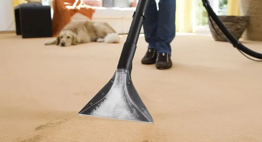 Jak stosować karcher rm 770 do skutecznego czyszczenia dywanów?