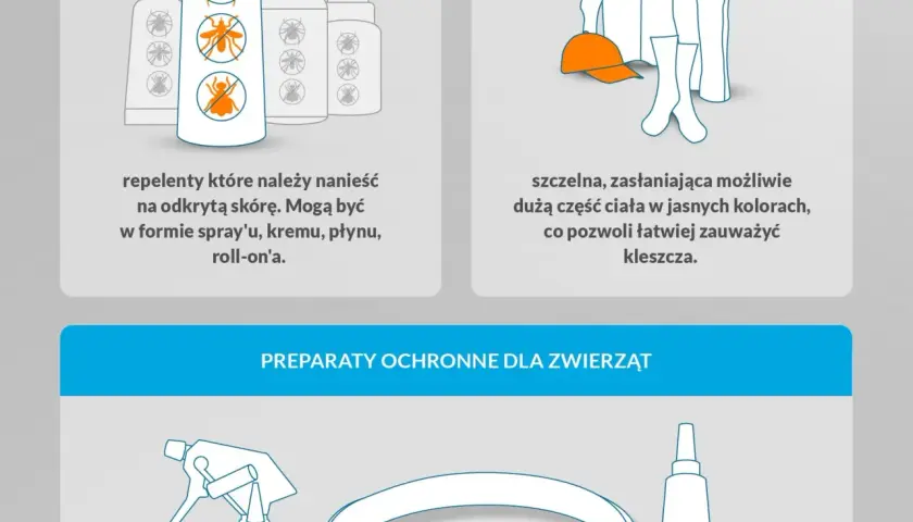 Czy pranie zabija kleszcze? Jaka temperatura skutecznie je niszczy?