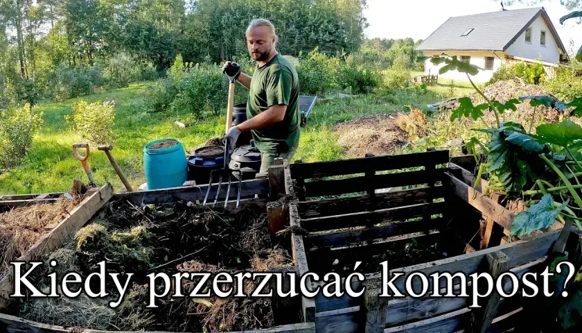 Kiedy rozrzucać kompost? Najlepszy czas i skuteczne techniki