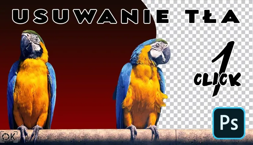 Jak usunąć tło w Photoshopie - skuteczne metody krok po kroku
