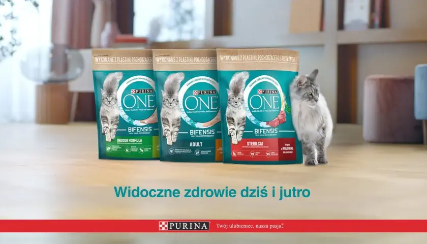 Purina jako karma dla kota: poznaj prawdę o jakości i składzie karmy
