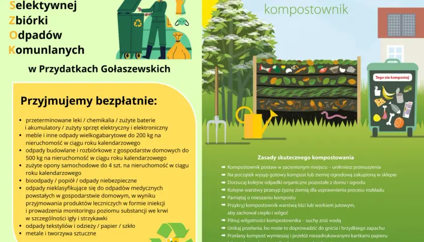 Jak prawidłowo wyrzucić ogórki kiszone - segregacja odpadów