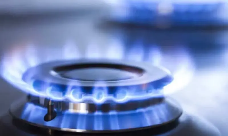 Gas natural y propano: diferencias clave para elegir el mejor combustible