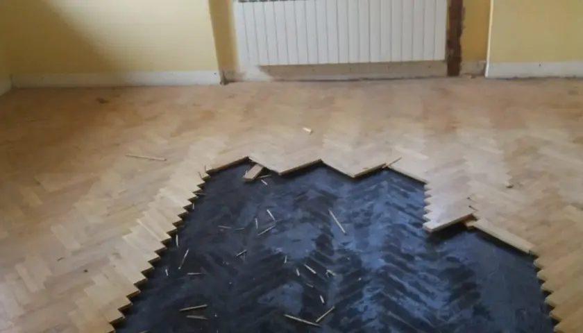 Czy lepik pod parkietem jest szkodliwy? Odkryj zagrożenia dla zdrowia.