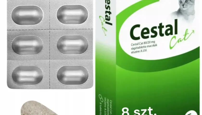 Jak działa tabletka na odrobaczanie kota i co warto wiedzieć?