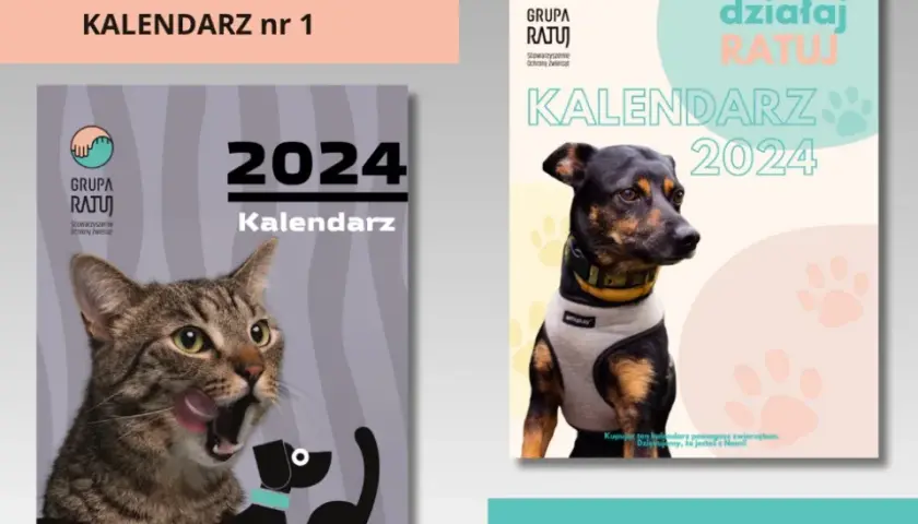 Jak utworzyć instytucję charytatywną od podstaw: kompletny poradnik 2025