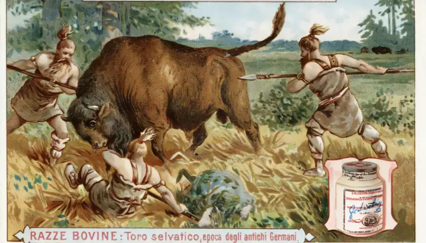 Tout savoir sur les soupes Liebig : variétés, ingrédients et achats