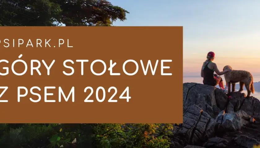 Góry Stołowe czy można z psem? Sprawdź, gdzie możesz wędrować z psem