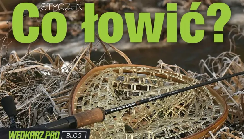 Czy można łowić na spinning w styczniu? Sprawdź, jakie ryby możesz złowić