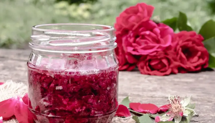 Jak zrobić aromatyczną herbatę z płatków róży: prosty przepis krok po kroku