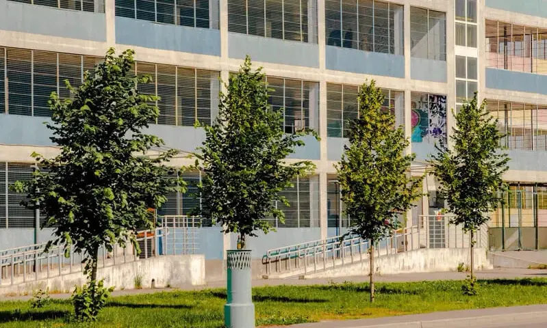 Czy można posadzić drzewo przed blokiem? Ważne informacje o zgodach