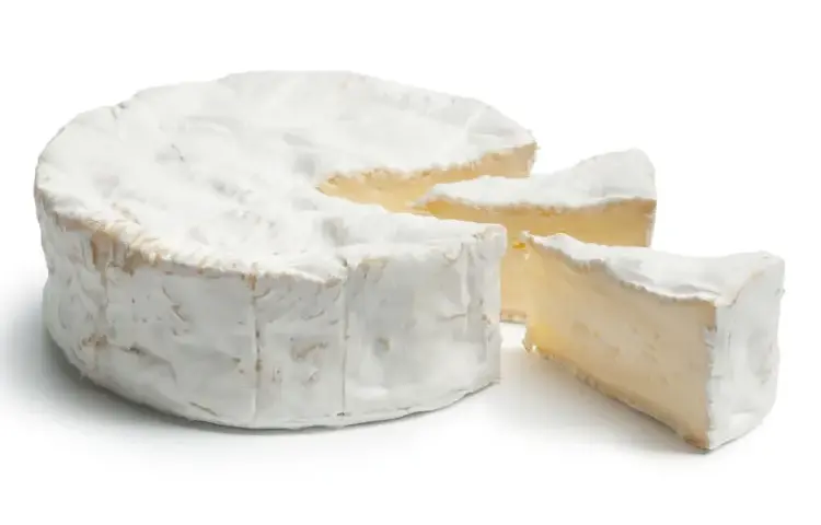 Ile kalorii ma ser camembert? Poznaj wartość energetyczną
