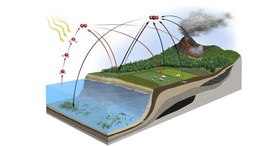 Schematische Darstellung des **Kohlenstoffkreislaufs**: Sonne, Wasser, Pflanzen, Tiere, Vulkan und Kohle zeigen den Austausch von CO2.