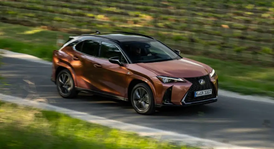 Miedziany Lexus UX 300h sunie po krętej drodze wśród zieleni.