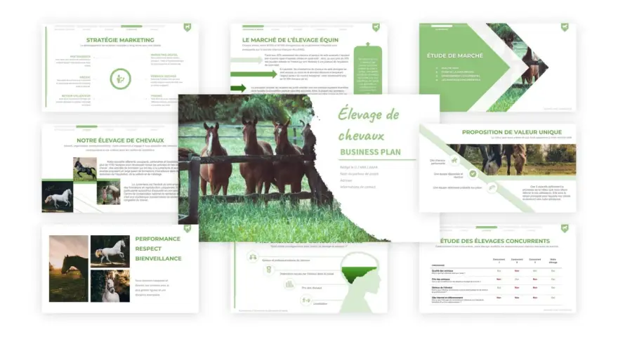 Présentation d'un plan d'affaires pour un élevage de chevaux, incluant des analyses de marché, des stratégies marketing et une proposition de valeur unique.