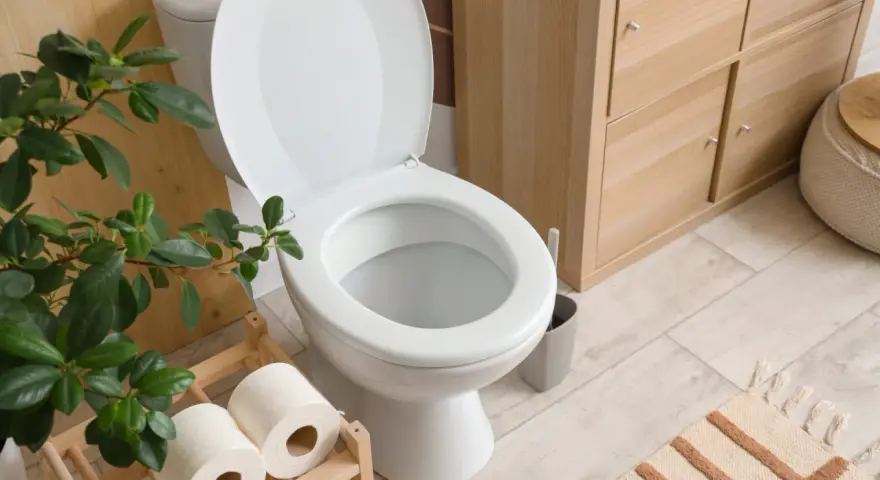 Toilettes blanches avec couvercle ouvert, rouleaux de papier toilette sur un support en bois, plante verte et meuble de rangement en bois. La largeur du WC est standard.