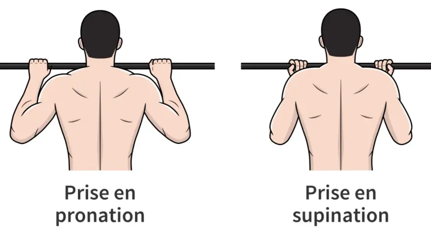 Comparaison de la prise en pronation et de la prise en supination pour un exercice de traction.