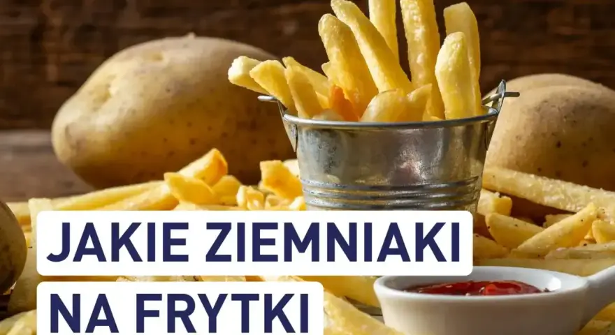 Złociste frytki w metalowym wiaderku i surowe ziemniaki na drewnianym stole. Pytanie brzmi: jakie ziemniaki na frytki?
