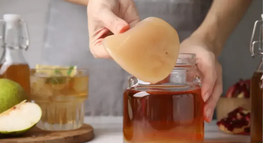 Kombucha: Jak wyhodować domową kulturę SCOBY krok po kroku