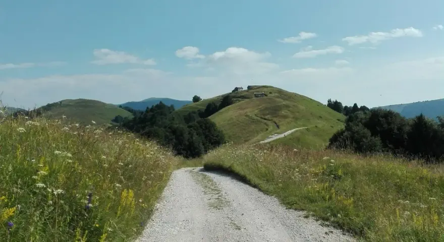 Sentiero sterrato sale verso la malga Garda, tra prati fioriti e dolci colline verdi sotto un cielo azzurro.