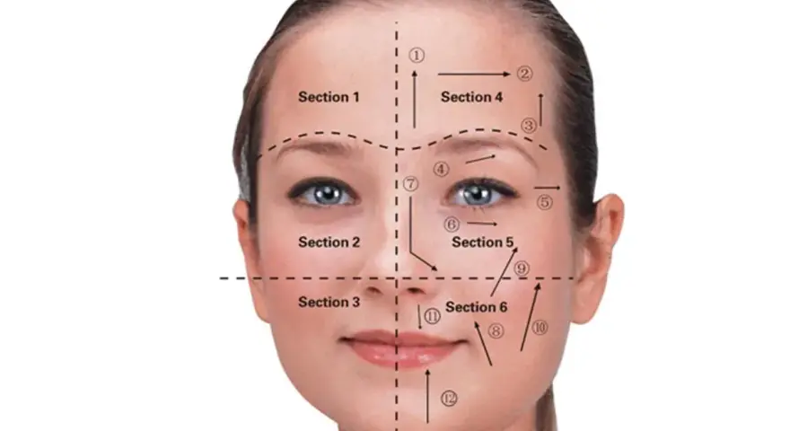 Guía de secciones y flechas para el drenaje linfático facial.