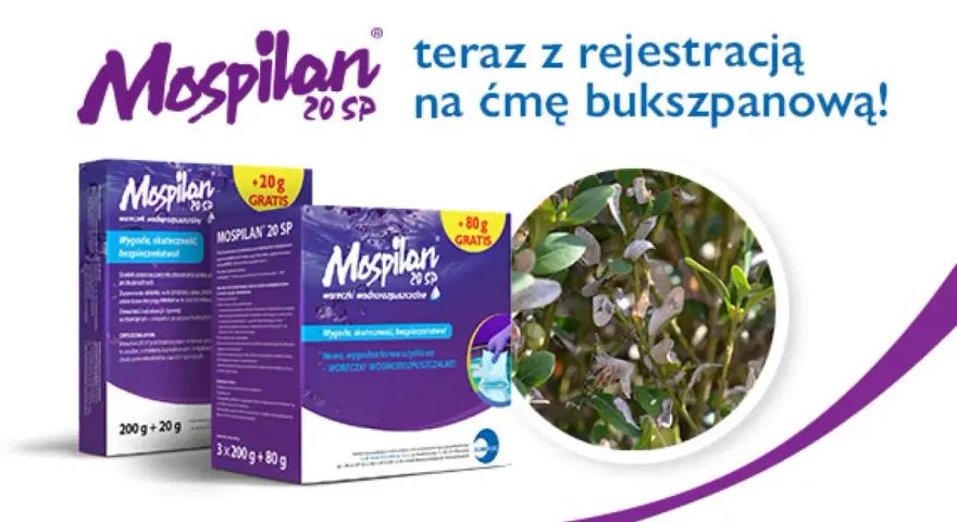 Mospilan na ćmę bukszpanową. Zwalcz szkodniki skutecznie i bezpiecznie. Opakowania z gratisem.
