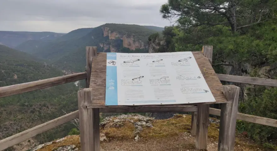 Mirador en el **zaorejas alto tajo**, con panel informativo sobre aves de hoces y cañones. Paisaje de montañas verdes y cielo nublado.